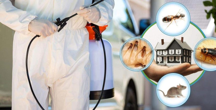 Uluborlu Böcek İlaçlama