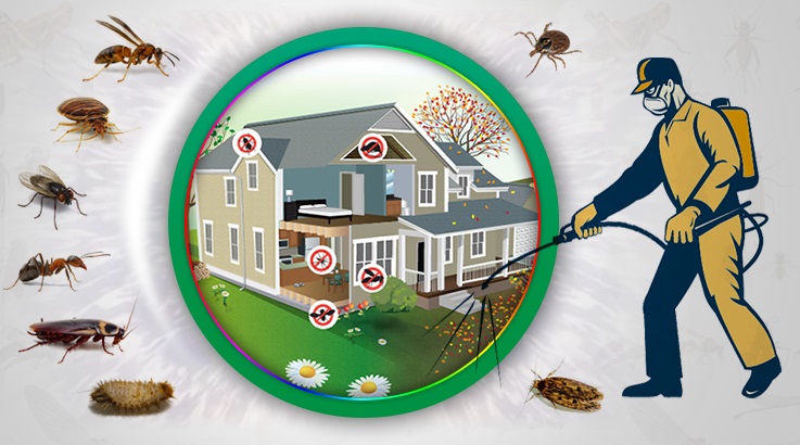 Uluborlu Böcek İlaçlama