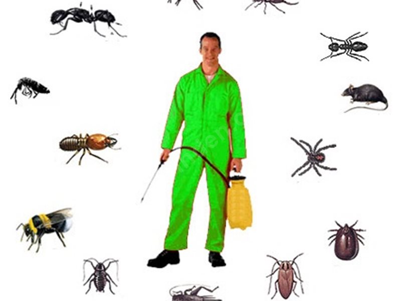 Uluborlu Böcek İlaçlama